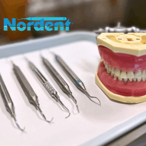 Influencer Partnerships – Nordent Instruments