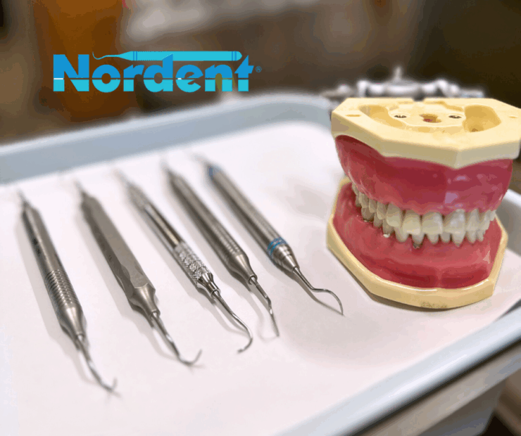 Influencer Partnerships – Nordent Instruments