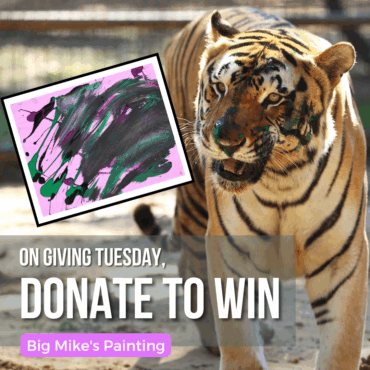 Social Media Marketing – PrideRock Wildlife Refuge