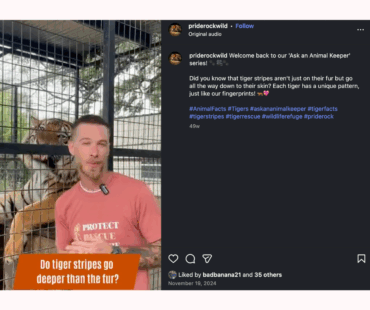 Social Media Marketing – PrideRock Wildlife Refuge