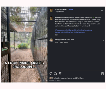 Social Media Marketing – PrideRock Wildlife Refuge