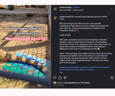 Social Media Marketing – PrideRock Wildlife Refuge