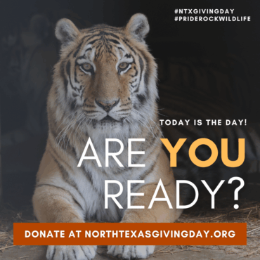 Social Media Marketing – PrideRock Wildlife Refuge